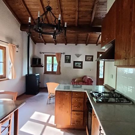 Greenview - Casavacanza Poppi Buitenkant foto